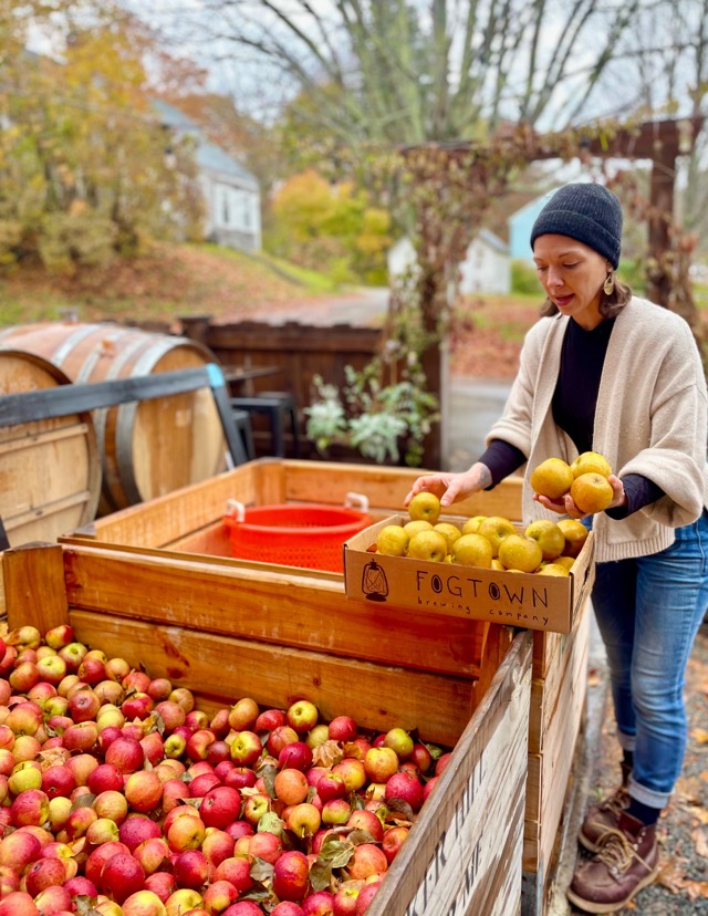 Loading gathered apples into crates beside the cider press