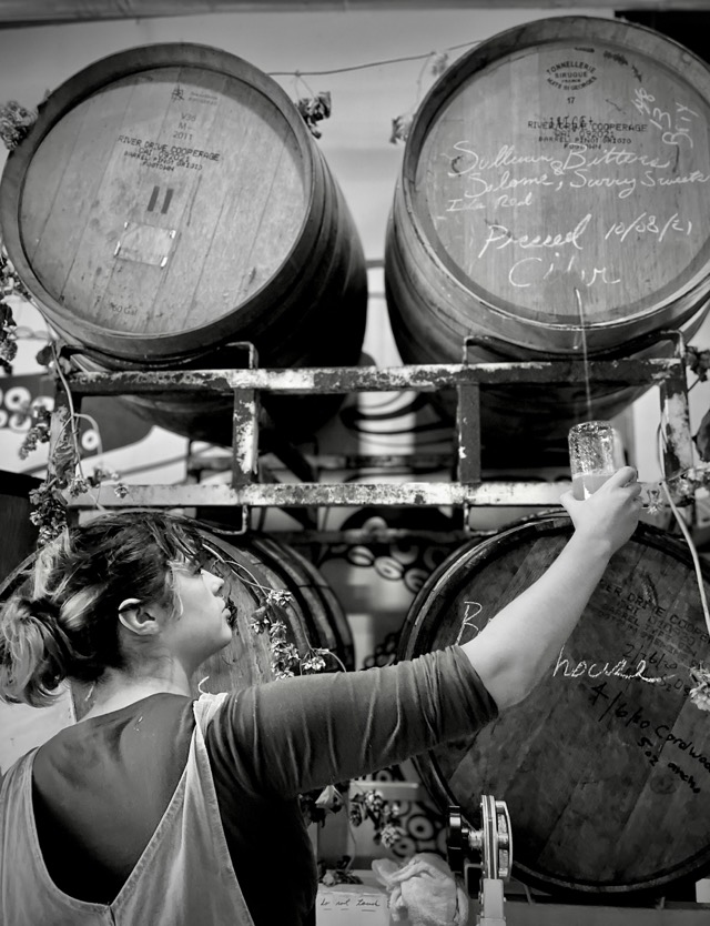 A cider maker drawing a sample from stacked oak barrels, in black and white