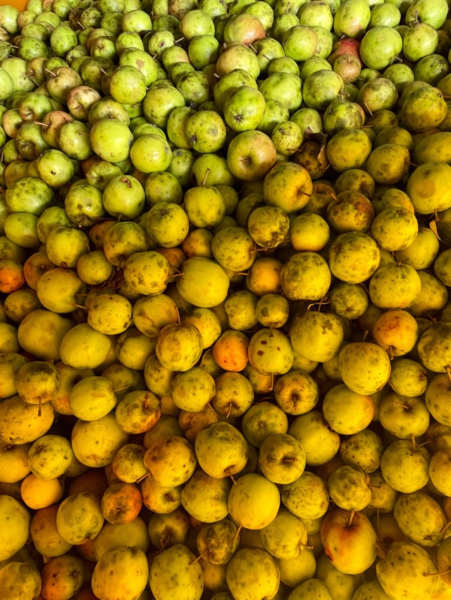 A bin of small green and yellow wild apples